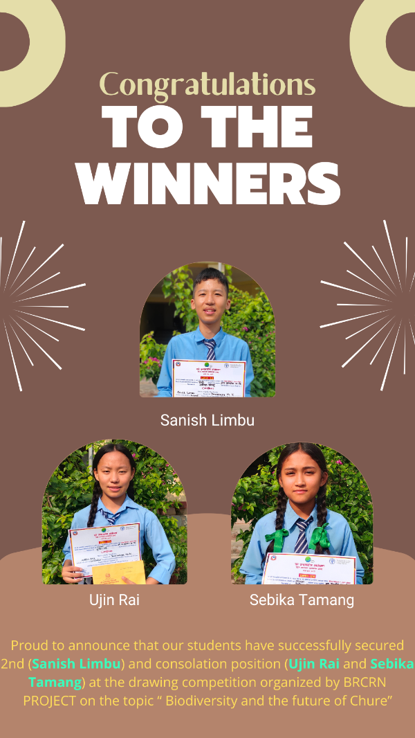 Winners of the Drawing Competition